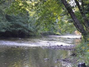 Still shot of a peaceful creek in Galax, VA